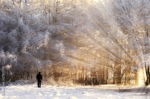 man looking at a beautiful ...