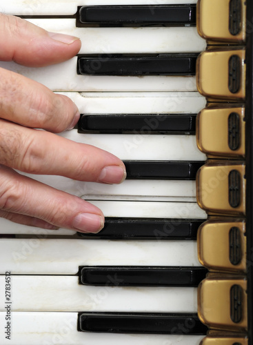 Wallpaper Mural Playing old accordion Torontodigital.ca