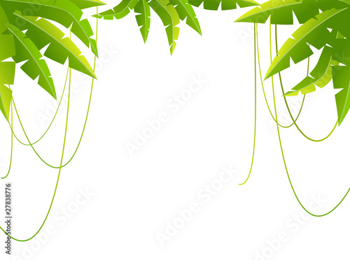 Beautiful background with tropical plants