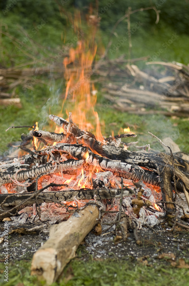 Bonfire Bonfire