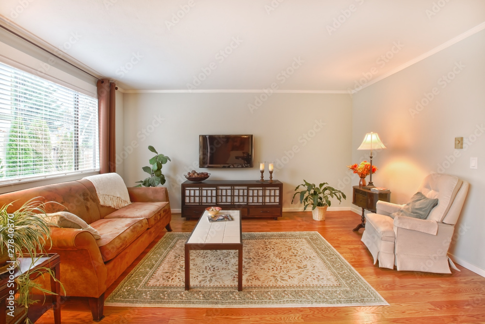 Fototapeta premium Living room with TV