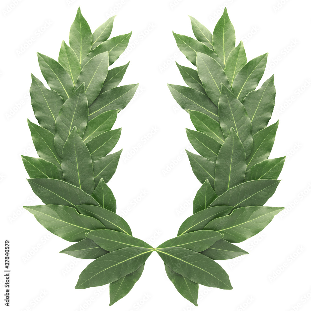 Fototapeta premium Laurel wreath isolated