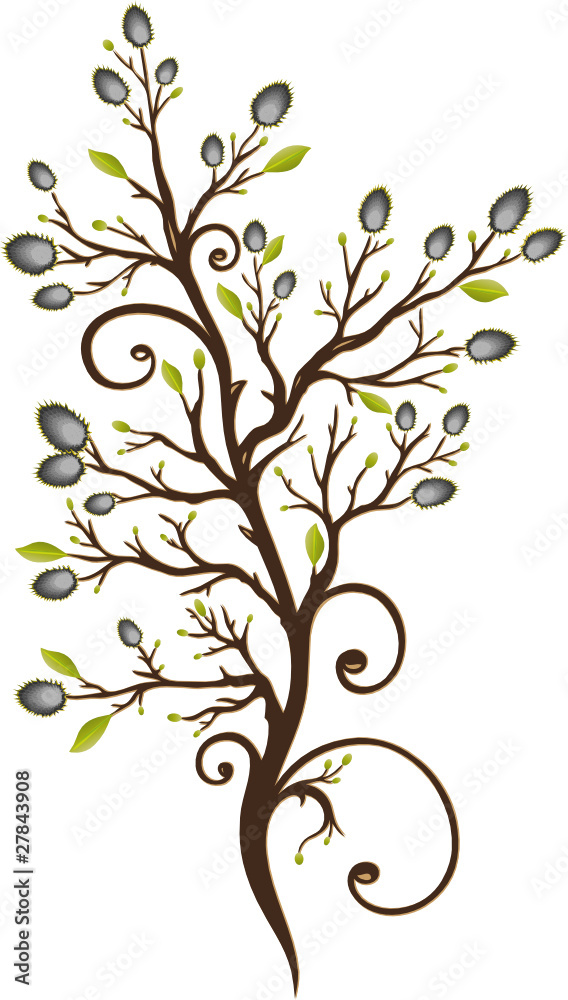 Frühling, Weidekätzchen, Ostern, Zweig, Ast, vector Frühling, Weidekätzchen, Ostern, Zweig, Ast, vector