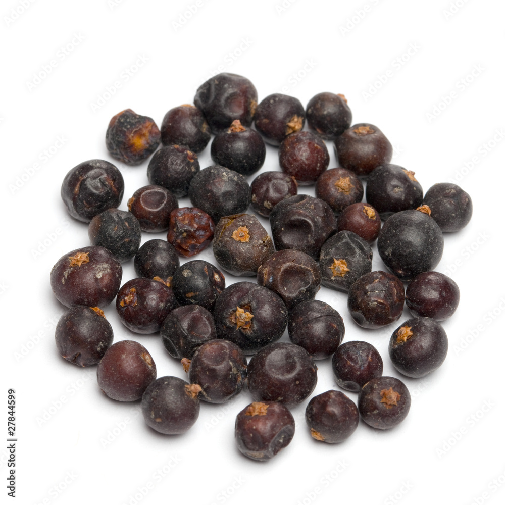 Fototapeta premium Wacholderbeeren