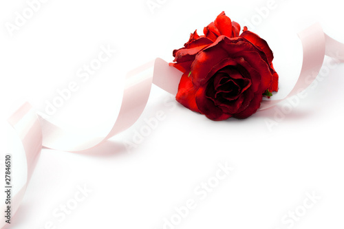Fototapeta Naklejka Na Ścianę i Meble -  Rose and ribbon isolated on white