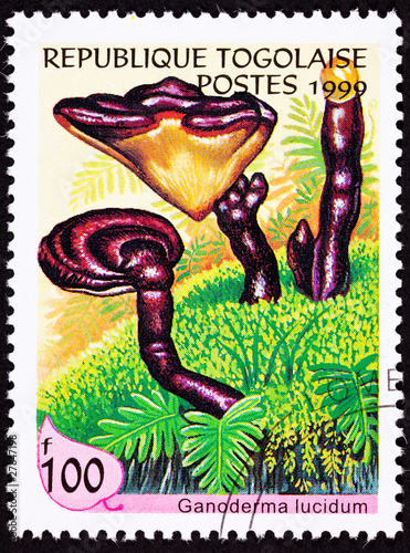 Togo Stamp Lingzhi Chinese Medicinal Mushroom Ganoderma Lucidum photo