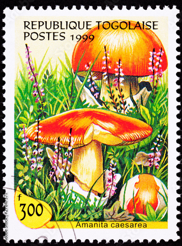 Togo Postage Stamp Caesar's Mushroom, Amanita Caesarea Fox Glove photo