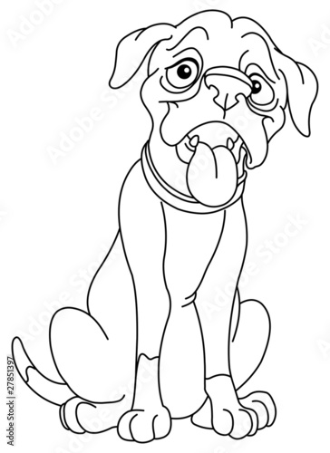 Outlined boxer