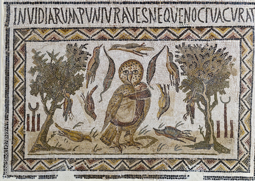 Roman mosaics