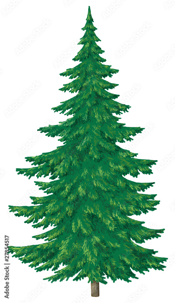 Christmas green tree Christmas green tree