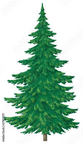 Christmas green tree