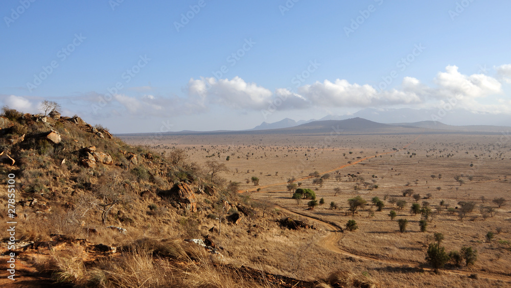 Afrikanische Steppe Panorama