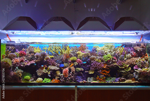 marine aquarium