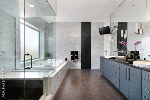 Sleek master bath in luxury home