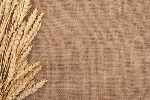 Wheat ears border on burlap background