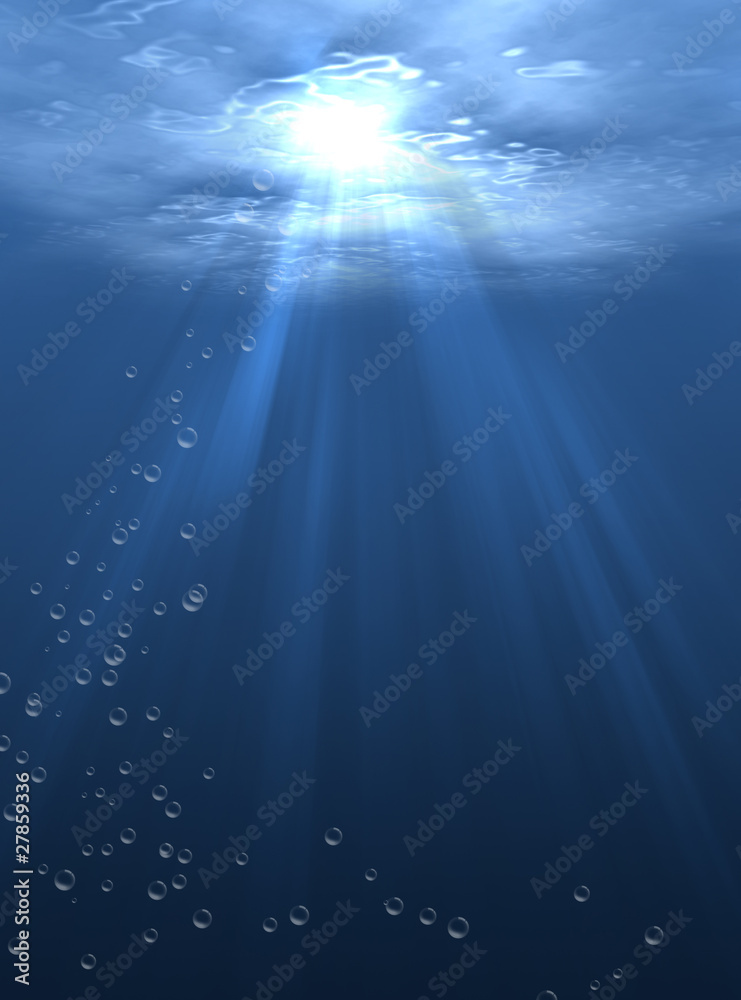 Obraz premium The underwater world