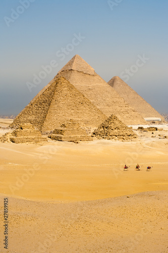 Camels Line Walk Pyramids All Vertical