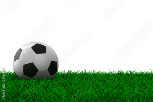 soccer ball on grass. Isolated 3D image