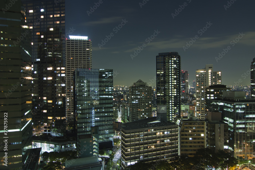 Tokio nocturno