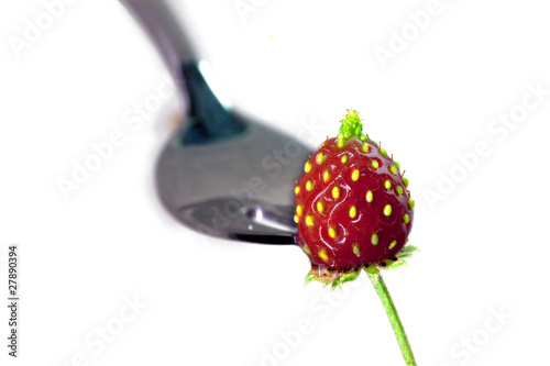 Erdbeere auf der Gabel © Roland Hoffmann