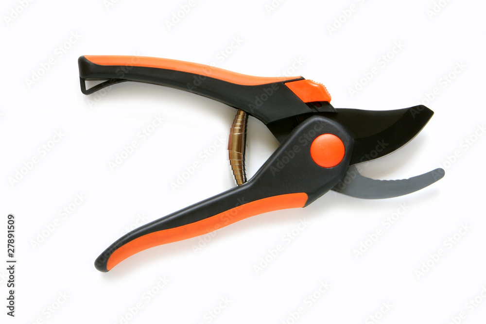 Obraz premium Open garden pruning shears
