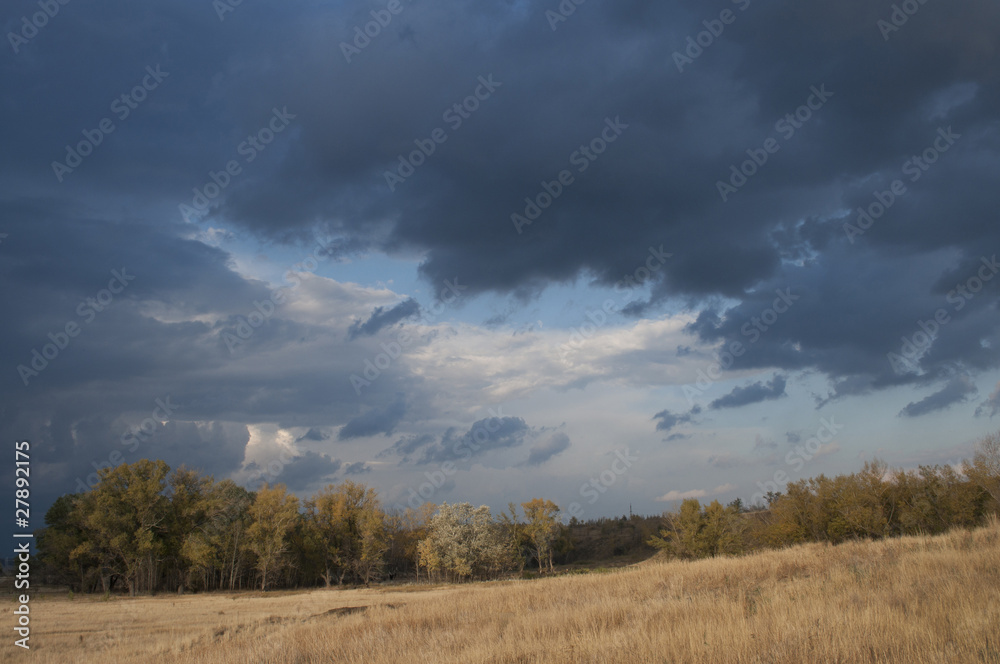 Before a rain