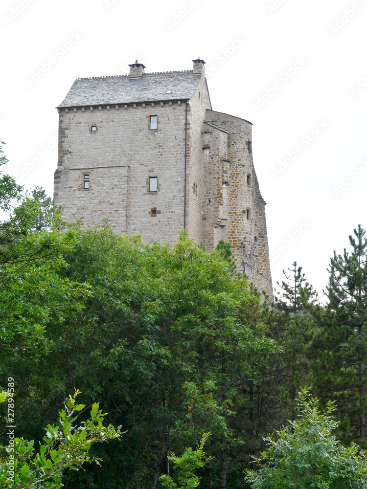 Fototapeta premium château du Miral