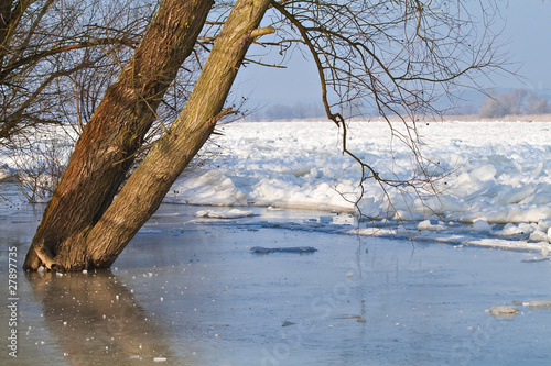 Eis auf der Oder. photo