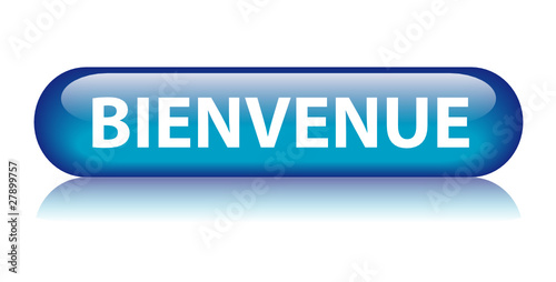 Bouton Web "BIENVENUE" (page d’accueil message site internet ok)