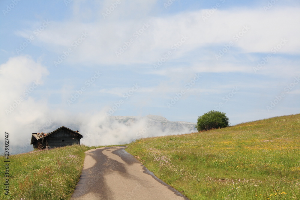 Fototapeta premium Wanderweg in den Bergen