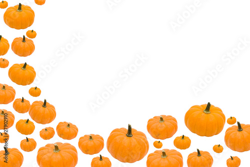 Pumpkin Border