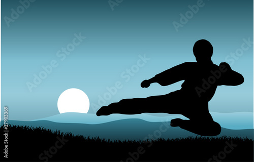 kung fu
