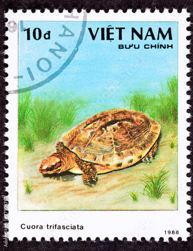 Vietnamese Postage Stamp Golden Coin Turtle cuora trifasciata