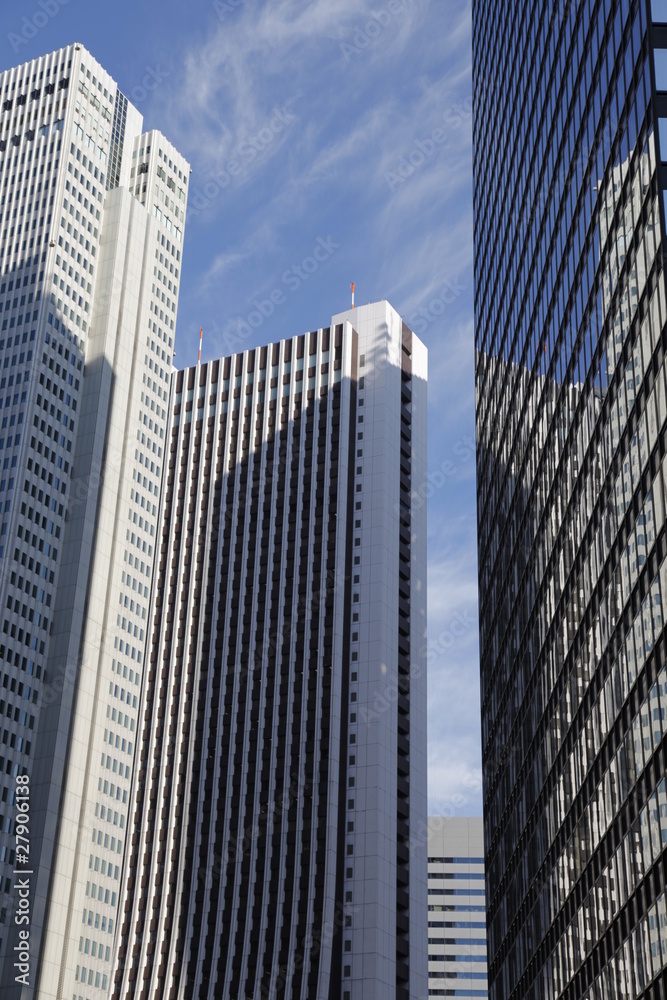 Obraz premium 新宿高層ビル群