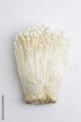 エノキ茸 photo