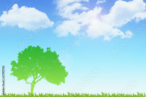Green Tree with Blue Sky