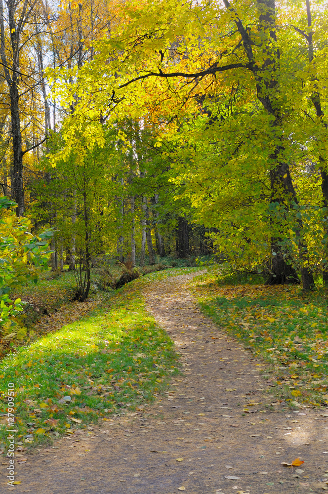 Autumn landscape. Russia