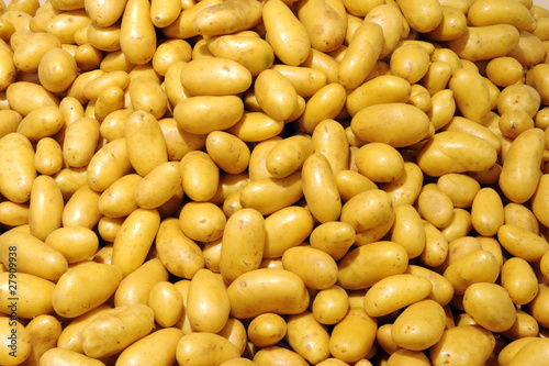 pommes de terre