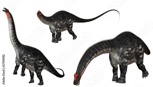 Apatosaurus