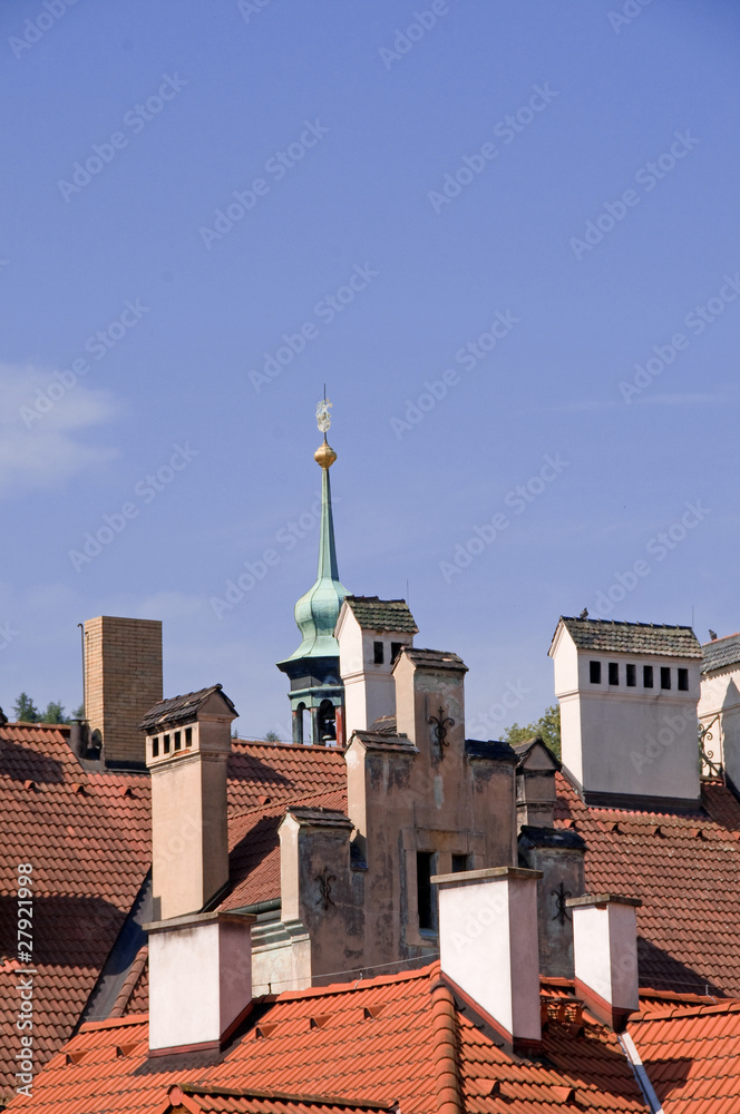 Chimneys and Roofs