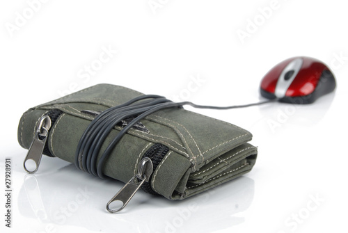 Computer mouse and wallet