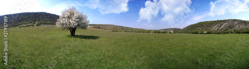Beautiful panorama of moldavian landscape