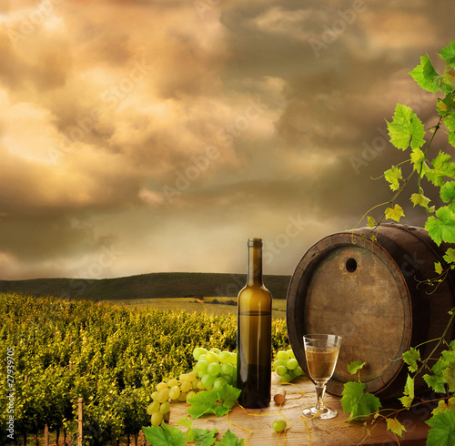 Wine, barrel and vine on background of early evening vineyard