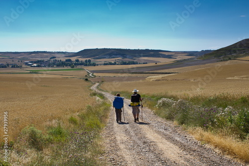 Pilgrims