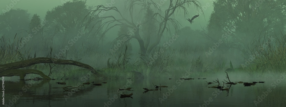 Fotografie, Obraz Landschaft im Nebel