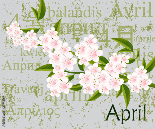 2009 Calendar