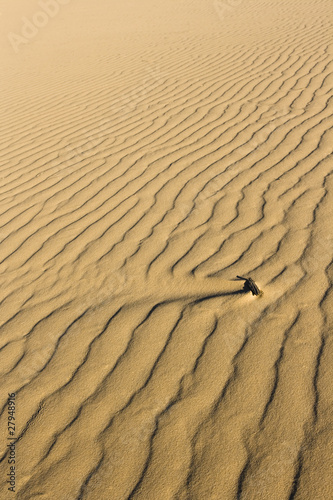 Rippled Desert Sand Background