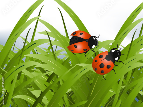 Bright red Lady Bug