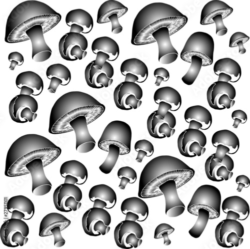 mushrooms vector