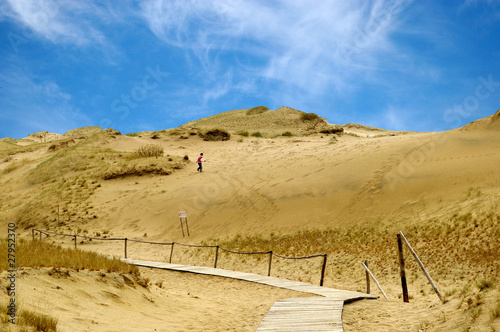 Baltic dunes.The Curonian Spit.Unesco heritage